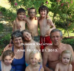 Summer Vacation book cover