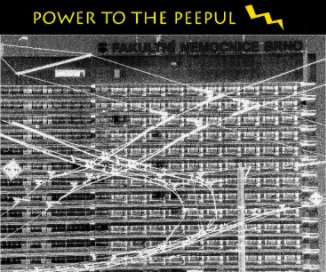 Power to the Peepul book cover