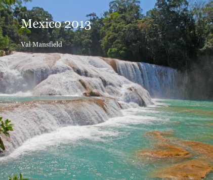 Mexico 2013 book cover