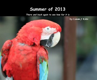Summer of 2013 book cover