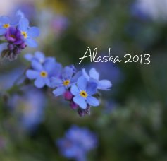 Alaska 2013 book cover