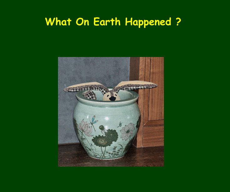 View What On Earth Happened ? by Banjo Innes