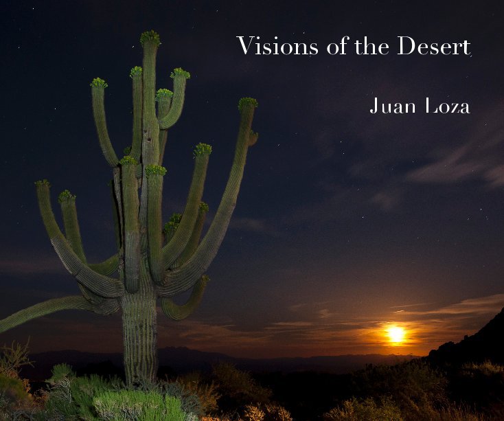 Visualizza Visions of the Desert di Juan Loza
