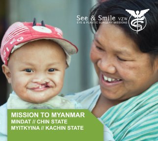 Mission to Myanmar II book cover
