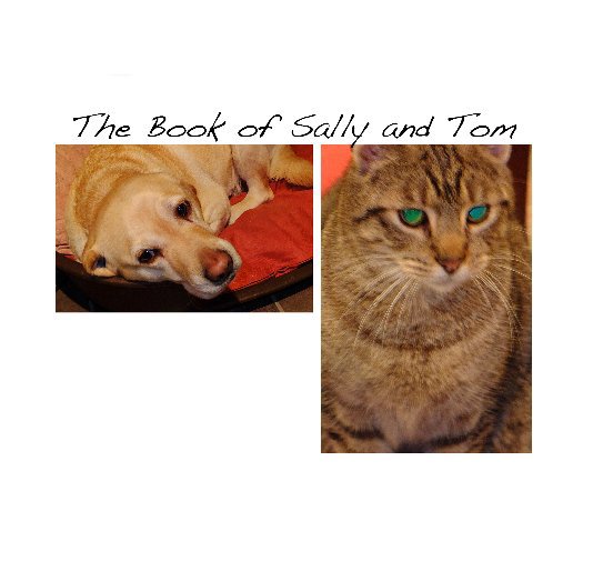 Visualizza The Book of Sally and Tom di David Paterson