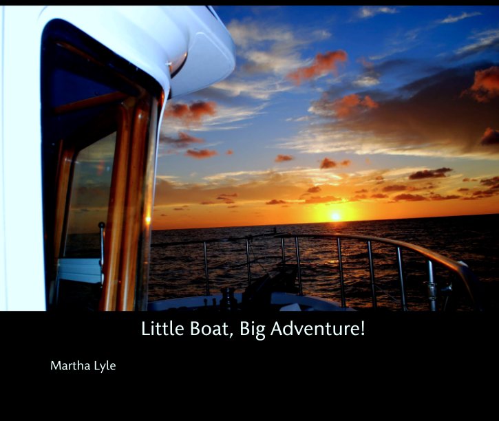 Ver Little Boat, Big Adventure! por Martha Lyle