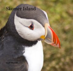 Skomer Island book cover