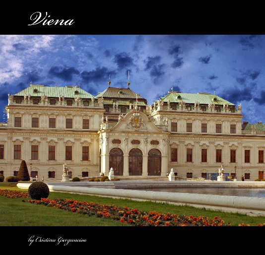 View Viena by Cristina Garganciuc