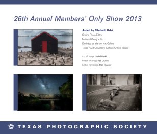 Members Only Show 2013 book cover