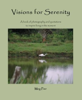 Visions for Serenity book cover