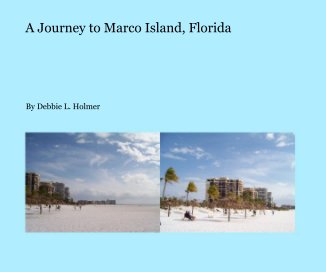 A Journey to Marco Island, Florida book cover