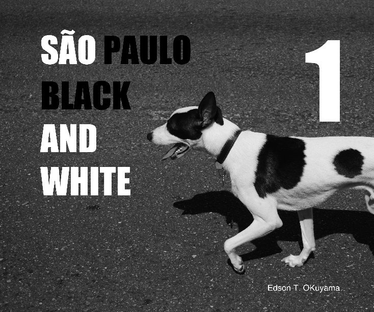 View São Paulo Black and White 1 by EdTakashi