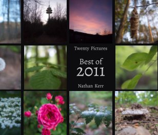 Twenty Pictures: Best of 2011 book cover