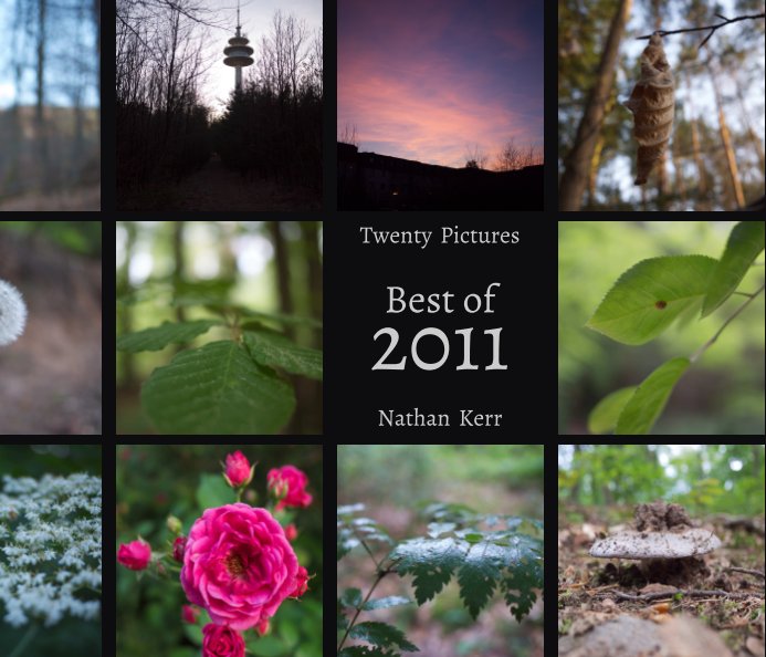 View Twenty Pictures: Best of 2011 by Nathan Kerr
