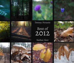 Twenty Pictures: Best of 2012 book cover