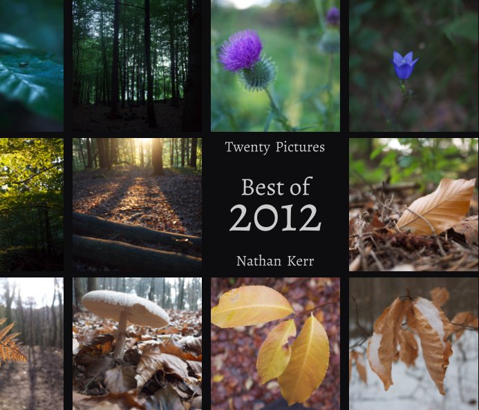 View Twenty Pictures: Best of 2012 by Nathan Kerr