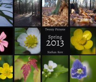 Twenty Pictures: Spring 2013 book cover