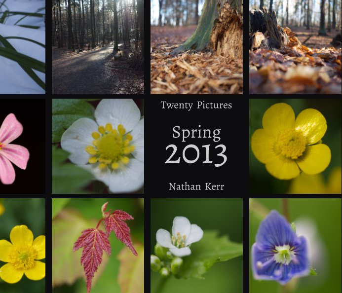 View Twenty Pictures: Spring 2013 by Nathan Kerr