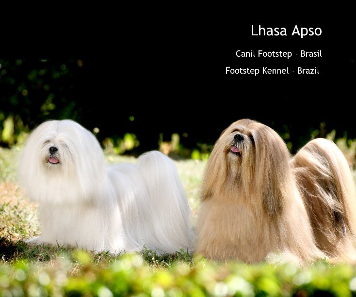 View Lhasa Apso by Footstep Kennel - Brazil