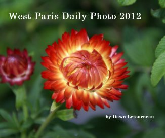 West Paris Daily Photo 2012 by Dawn Letourneau book cover