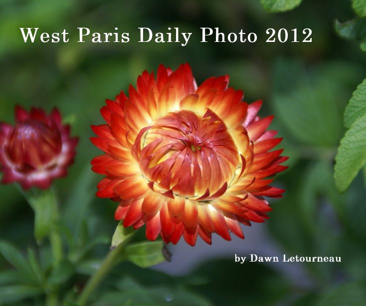 View West Paris Daily Photo 2012 by Dawn Letourneau by Dawn Letourneau