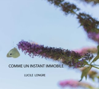 COMME UN INSTANT IMMOBILE book cover