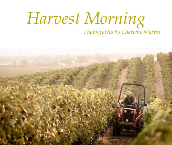 View Harvest Morning by Charlene Martin