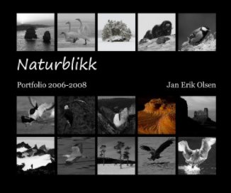Naturblikk book cover