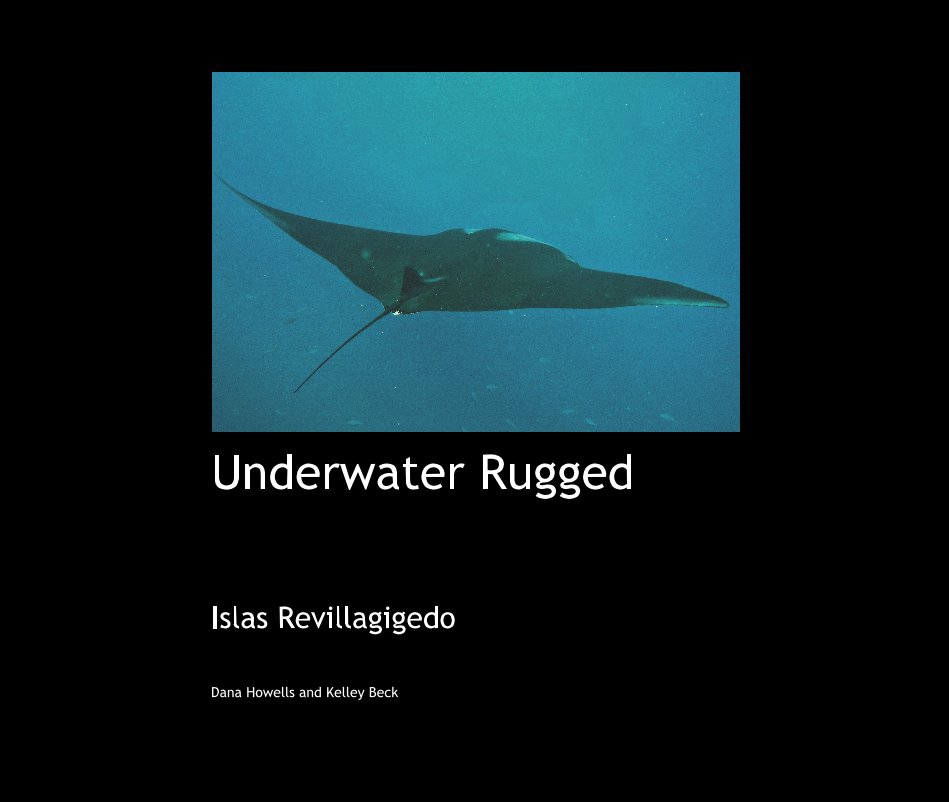 View Underwater Rugged by Dana Howells and Kelley Beck