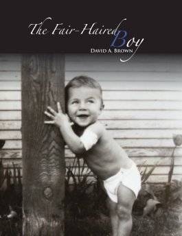 The Fair-Haired Boy book cover