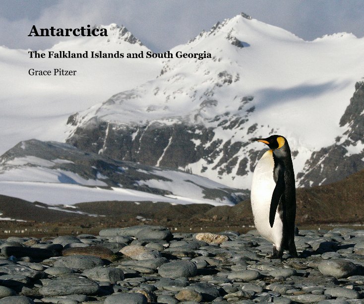 View Antarctica by Grace Pitzer