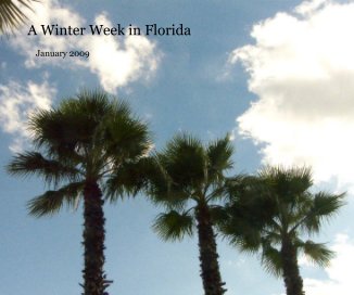 A Winter Week in Florida book cover