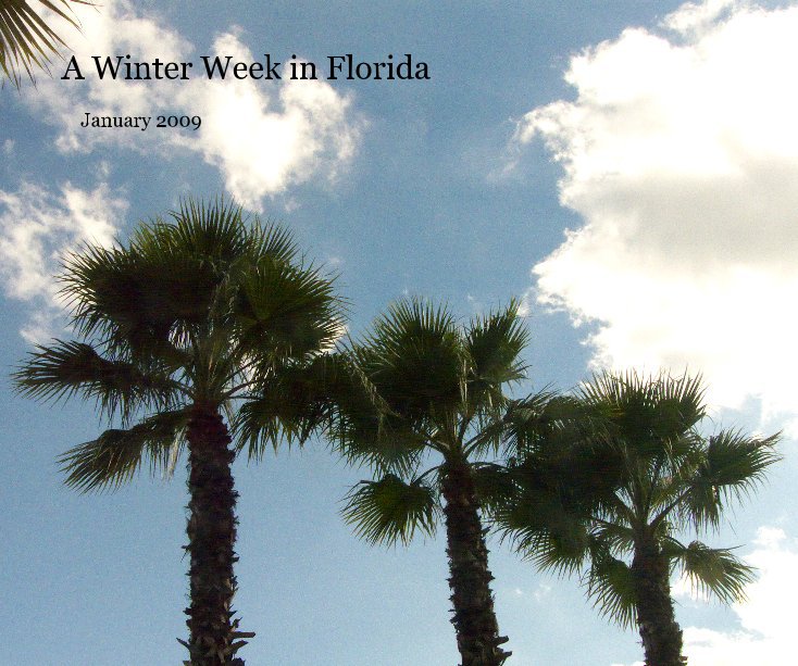 View A Winter Week in Florida by len_taylor