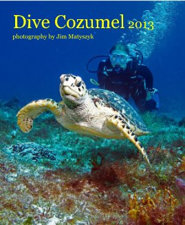 Dive Cozumel 2013 book cover