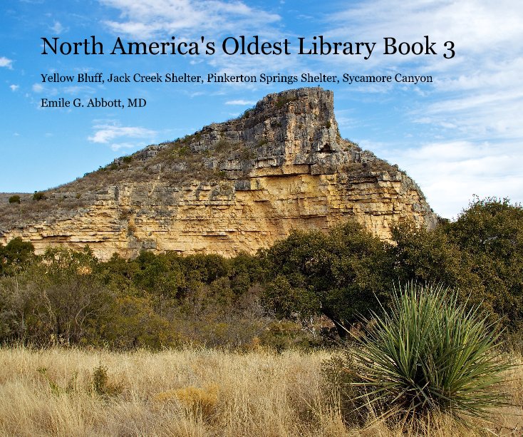 View North America's Oldest Library Book 3 by Emile G. Abbott, MD
