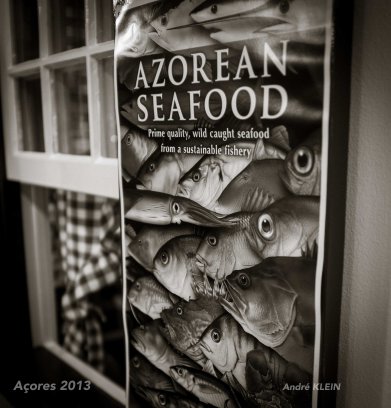 Açores 2013 book cover