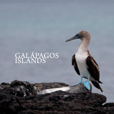Galapagos Islands (Large Square) book cover