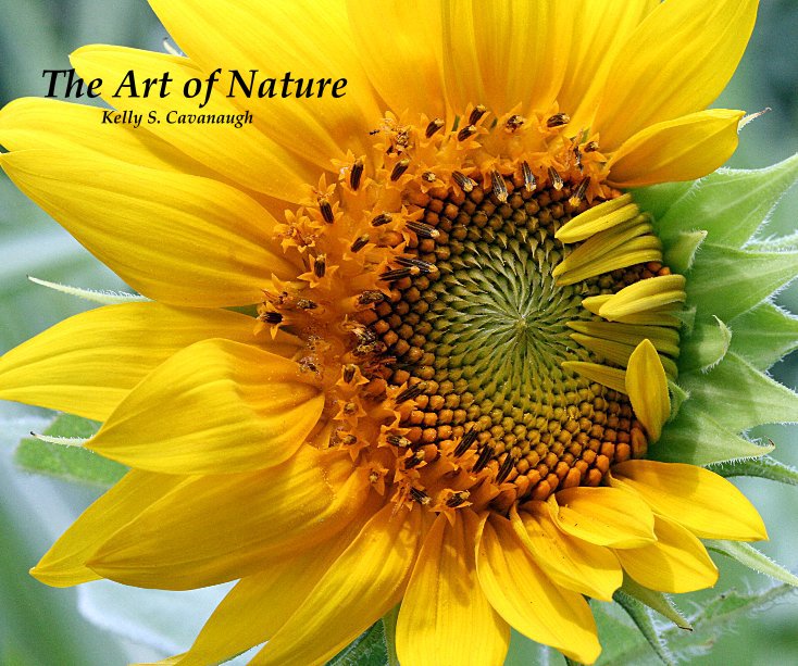 Ver The Art of Nature Kelly S. Cavanaugh por Kelly S. Cavanaugh