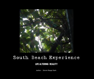 South Beach Experience book cover