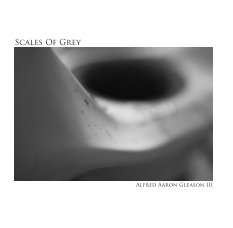 Scales Of Grey book cover