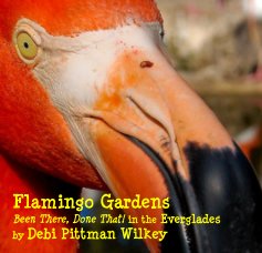 Flamingo Gardens Been There, Done That! in the Everglades by Debi Pittman Wilkey book cover