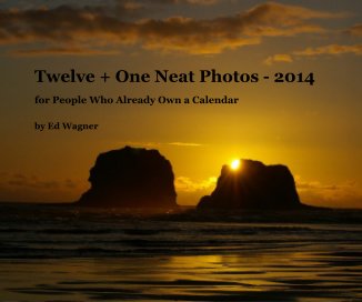 Twelve + One Neat Photos - 2014 book cover