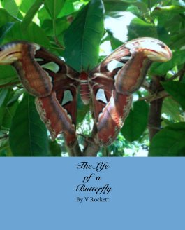 The Life 
of  a
 Butterfly book cover