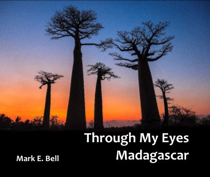Through My Eyes Madagascar book cover