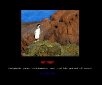 Animali book cover