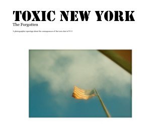 TOXIC NEW YORK book cover