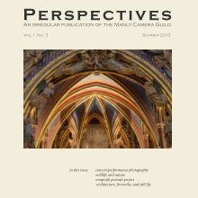 Perspectives, Vol. 1 no. 3 book cover