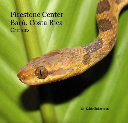 View Firestone Center Baru, Costa Rica Critters by Keith Christenson