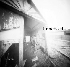Unnoticed book cover