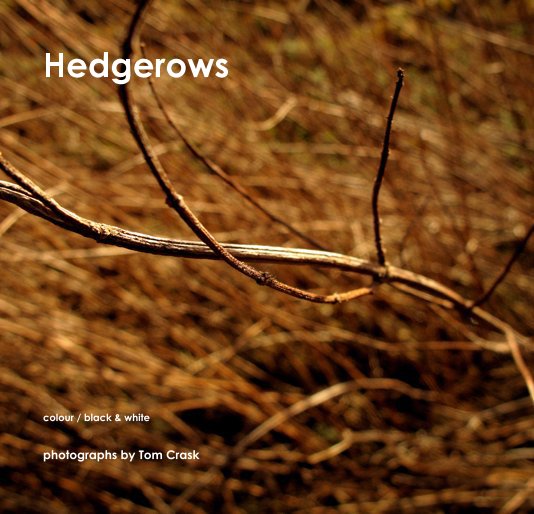 View Hedgerows by photographs by Tom Crask
